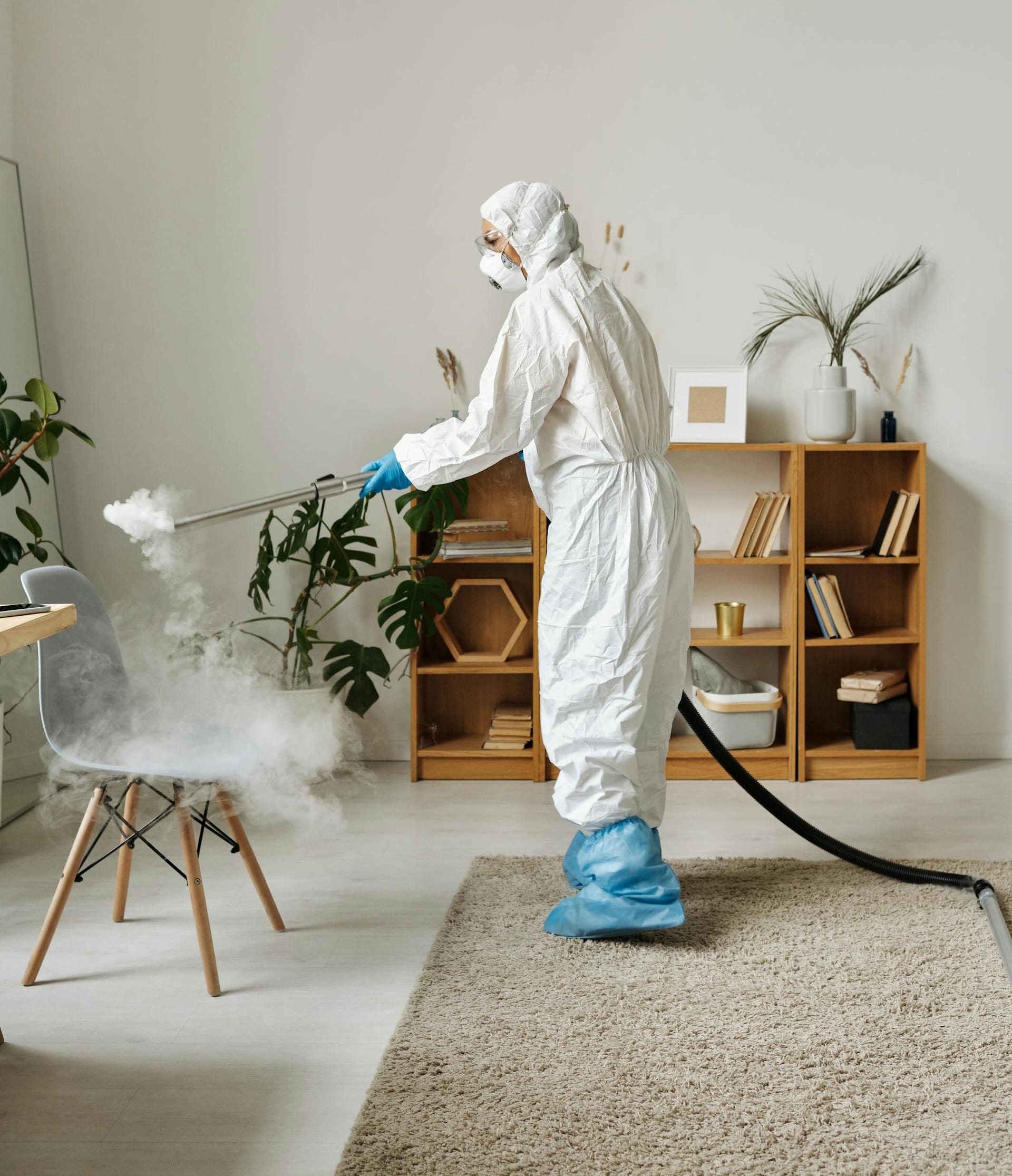 this image shows loom janitorial service