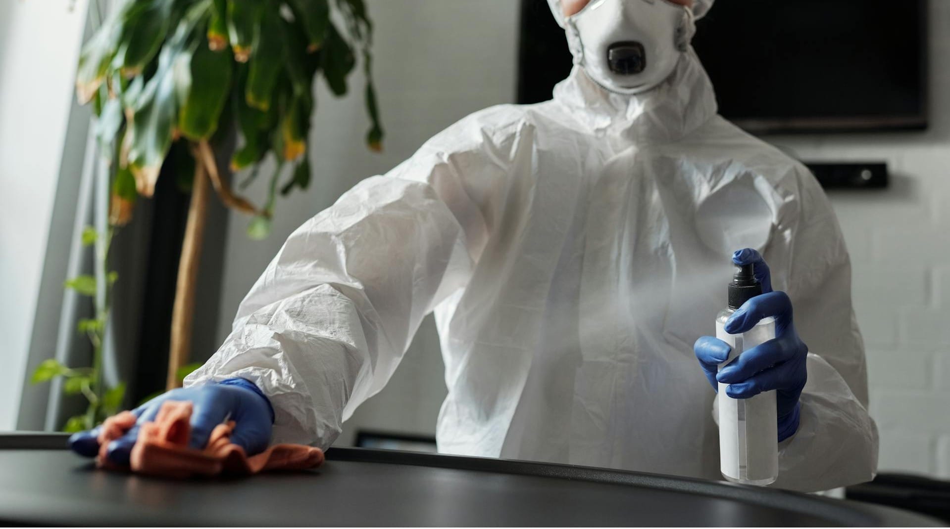 this image shows loom janitorial service